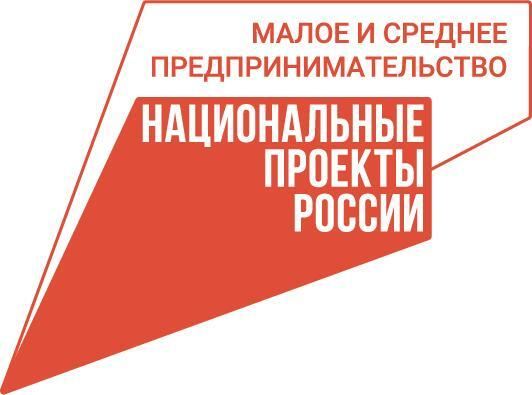 Более 240 млрд рублей привлек малый и средний бизнес с помощью гарантийной поддержки по нацпроекту в 1 квартале